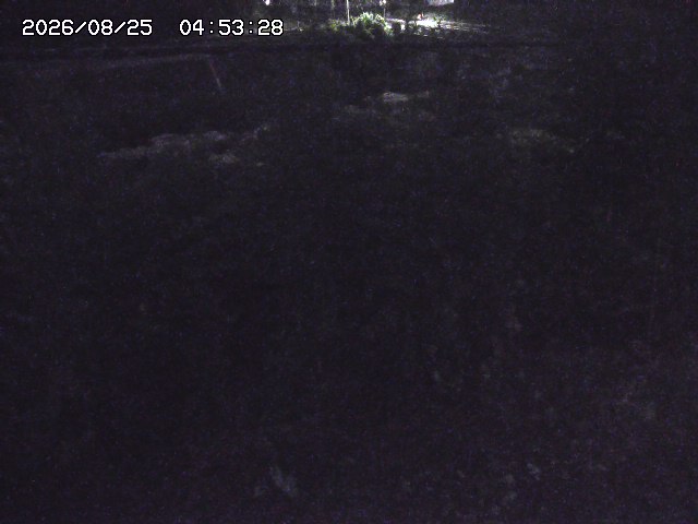 取得できませんでした