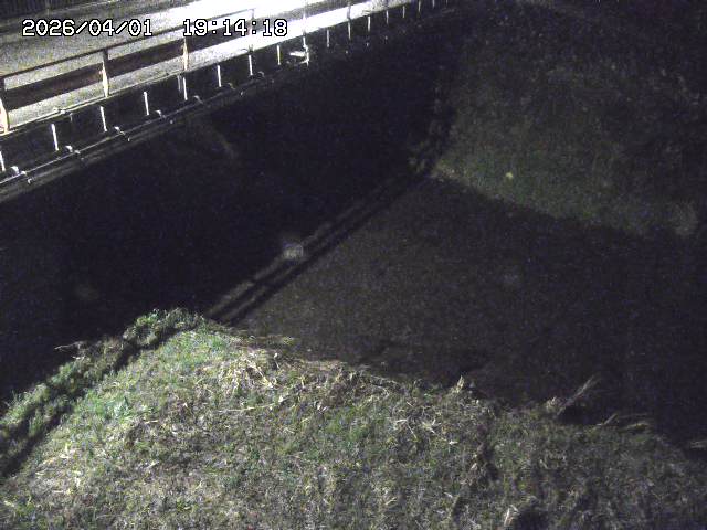 取得できませんでした