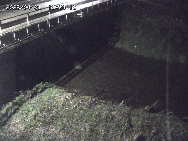 取得できませんでした