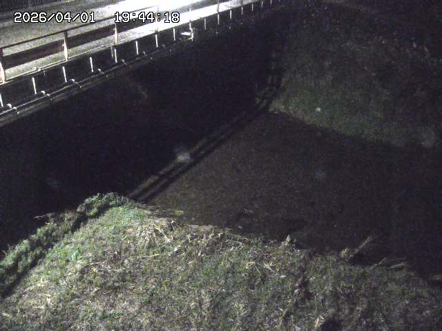 取得できませんでした