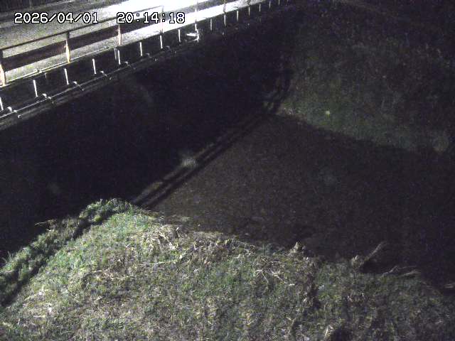 取得できませんでした