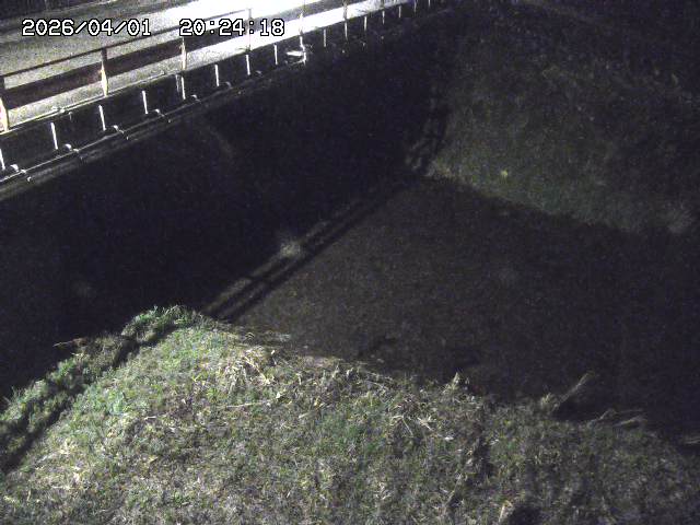 取得できませんでした