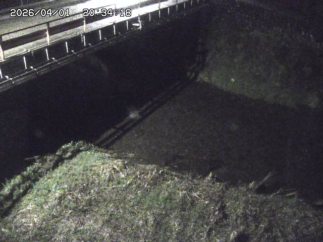 取得できませんでした