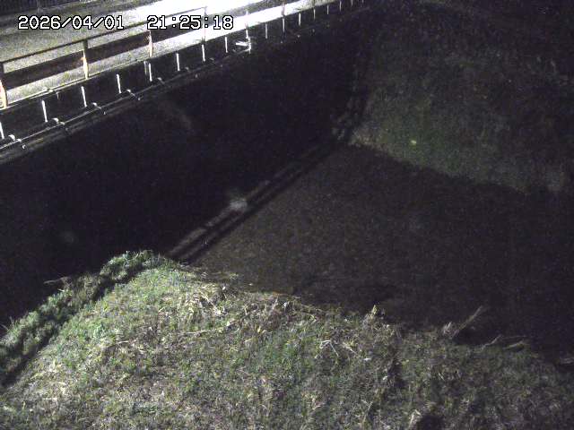 取得できませんでした