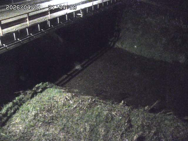 取得できませんでした