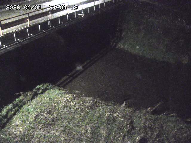 取得できませんでした