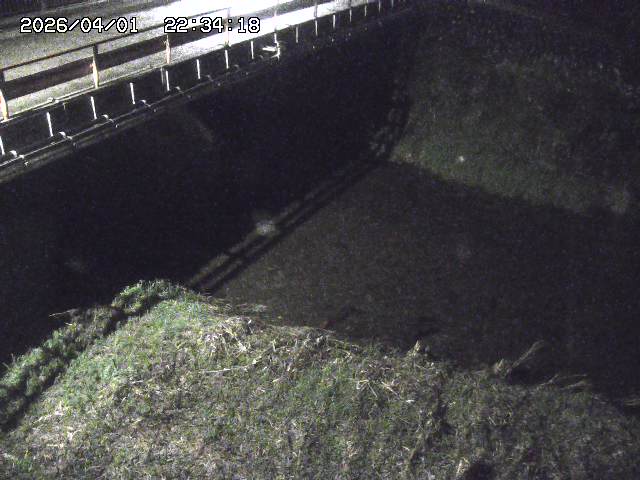 取得できませんでした