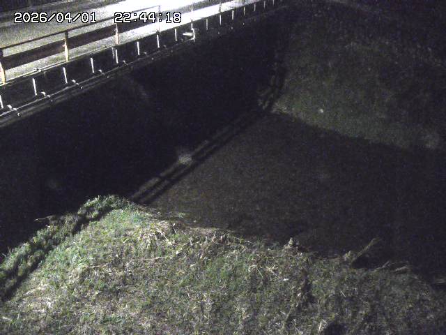 取得できませんでした