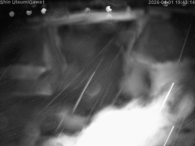 取得できませんでした