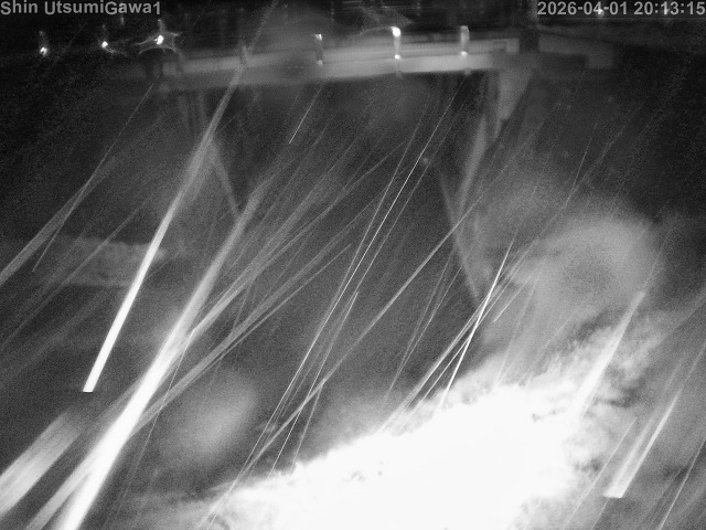 取得できませんでした