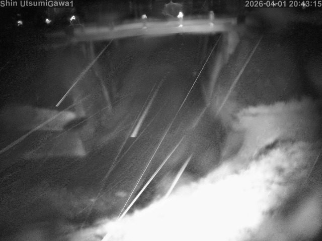 取得できませんでした