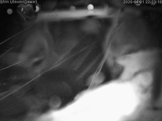 取得できませんでした