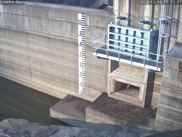 取得できませんでした